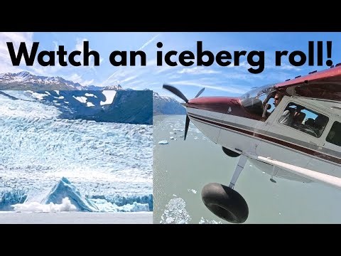 An Alaskan once in a lifetime experience