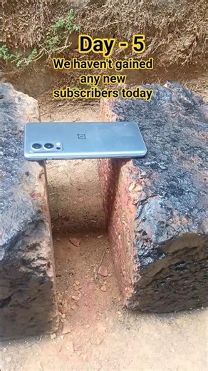 1 SUBS = 10 grams of BRICK (day – 5)