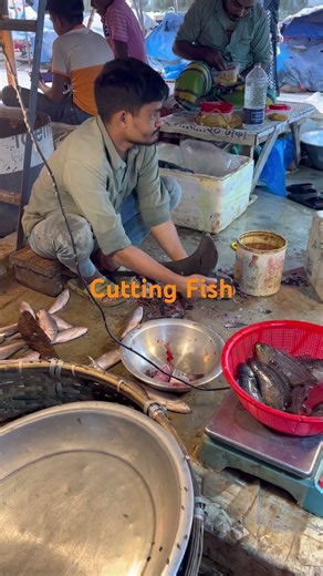 How to cut Fish // Fish // Cutting // Fish market