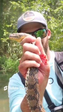 Bitten by a giant diamondback while fishing the creek
