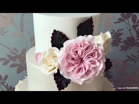 CAKE NATION | How To Make A David Austin Sugar Rose Using Modelling Paste