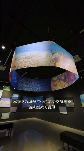 写真展│7/30(木)～ むらいさち「自然光 Underwater w/ natural light.」