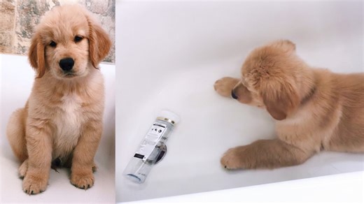 Bath time vs one shampoo bottle