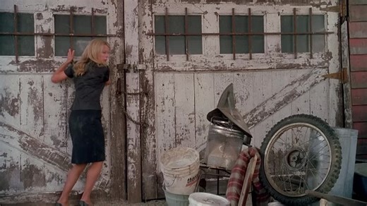 Cellular.2004.1080p.BluRay.x264.AAC5.1-[YTS.MX]