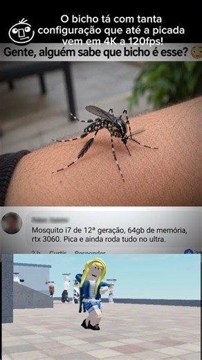 ESSE MOSQUITO É DIFERENTE.#slowed