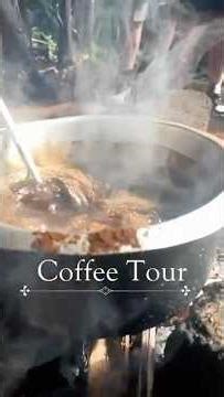 #コーヒーツアー #タンザニア旅行 #タンザニア #マテルニ滝 #サファリ #海外旅行