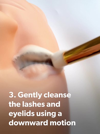 Lash Jungle PRO on TikTok