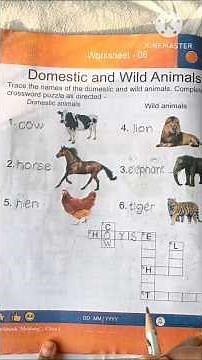 domestic and wild animals easy learning videos