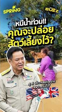 หนีน้ำท่วม อพยพสัตว์เลี้ยงยังไง? ดูวิธีรับมือจากต่างประเทศ #น้ำท่วม69 #สัตว์เลี้ยง #อพยพสัตว์เลี้ยง