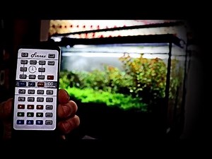 Finnex Planted+ 24/7 CC Review!