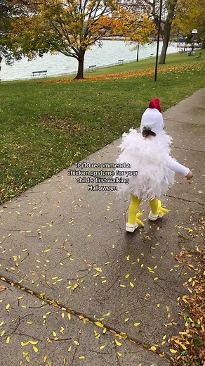 I mean is there anything cuter?! DIY free range chicken costume was a success #halloweekend #halloweencostume #toddlermom #freerangechicken #chickentok