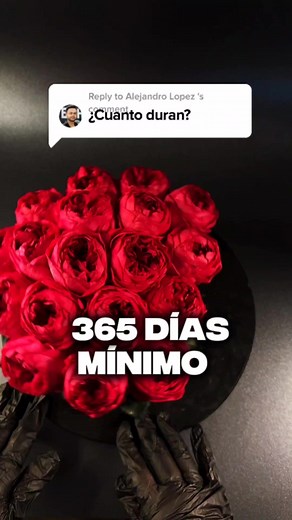 🌹 ¿Flores que duran 365 días? Sí, existen. Y no, no son de plástico ni magia de TikTok. 💬 100% naturales 💧 No necesitan agua 🚫 No se marchitan 📦 Empaque digno de museo ⏳ Duran mínimo un año (y a veces más) Así que si todavía no las compras… No es porque tengas dudas. Es porque tienes pretextos 😏 | Roux Flowers MX