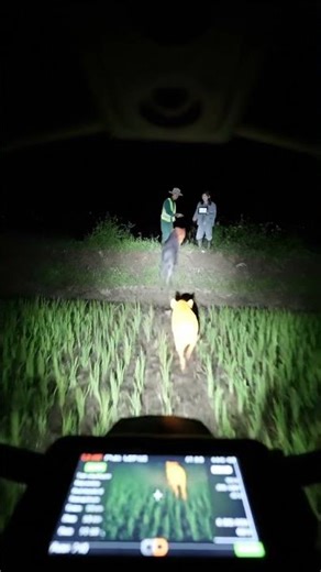 Smart Farming Drone Protection Strategy 🚁🌾🛰️ #rurallife #villagelife #smartfarming #dronetechnology