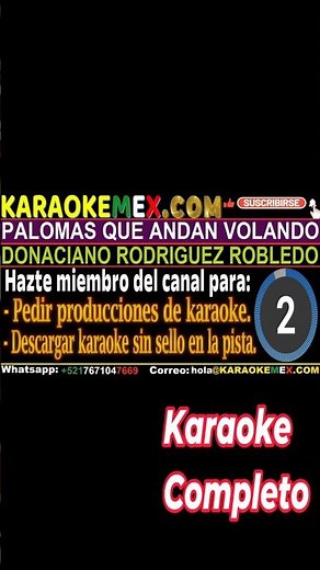 Karaoke Palomas Que Andan Volando - Hermanos Vega #karaokemex