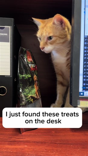 Our natural dog treats have even won over the feline squad – everyone's welcome at snack time! ⭐️⭐️⭐️⭐️⭐️. 🐶🐈 #pettreats #snacktime #australianmade #petsoftiktok