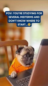 Time to stop by tutoring? 🚀 #Midterms #CCC #ContraCosta #SanPablo #CommunityCollege #California #NorCal | Contra Costa College