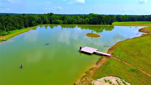 Building a 5 acre pond! (Adding lily pads and vegetation)