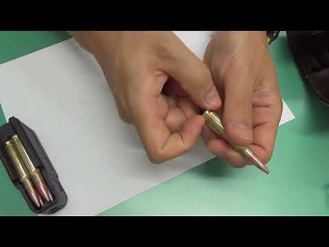 ヒグマの撃ち方