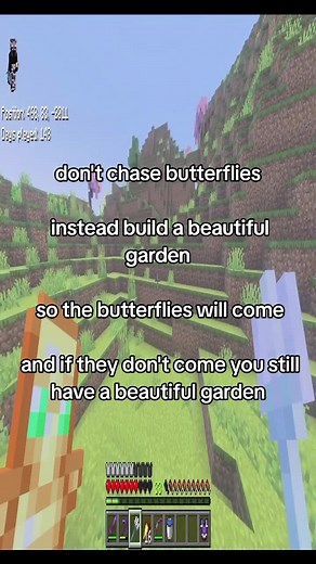 Creating a Beautiful Garden for Butterflies
