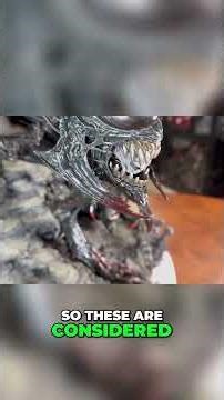 CRAZY TUSKED ALIEN STATUE REVIEW from PRIME 1 STUDIO