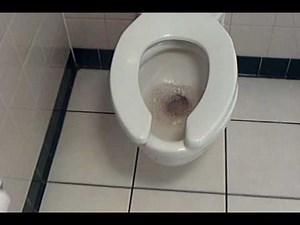 VINTAGE "Standard" toilet and urinal