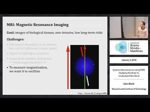 Systems Neuroscience Using fMRI: Studying the Brain to Understand the Mind