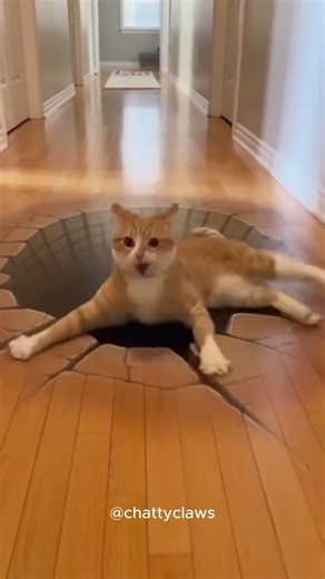 CAT vs. PHYSICS: Who Won? #shorts