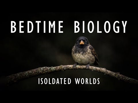 Islands of Evolution: How Life Adapts in Isolation | Science To Sleep To