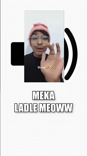 Meme Sound Effects - Meka Ladle Meow Tree | Funny Meme Sound FX for Editing | Free & No Copyright