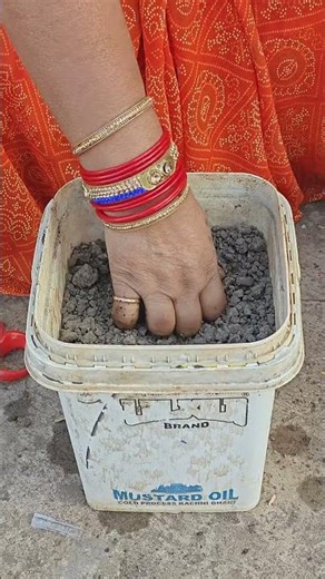 Sweet Williams Seeds Sowing Today – Easy Flower Growing at Home