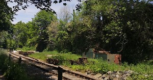 Abandoned railway line near Bristol has been reclaimed by nature