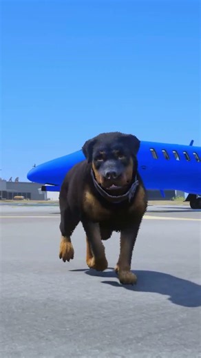 GTA 5 : Dogs teach us love in its purest form Part - 21 😘😘 || #shorts #shortvideo #gta5 || #shorts