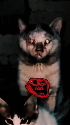 💀 Cat Aura 10000000+