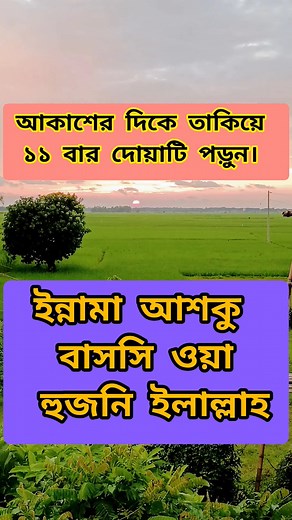 412K views · 10K reactions | The history of #photography began with...