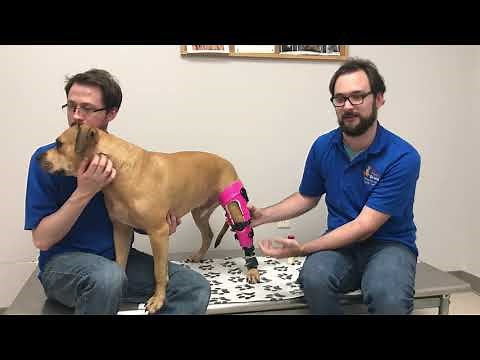 Knee Brace With Extended Suspension Sleeve Fitting Video