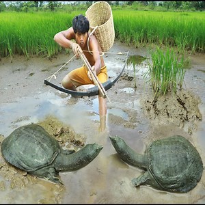 19K views · 262 reactions | Fishing meet Turtle cooking Turtle and Fish at forest eating so delicious #reelsvideoシ #reelsfbシ #reelsviralfb #cooking #love #reels #chef #survival #Amazing #food #yammyfood | Outdoor Chef | Facebook