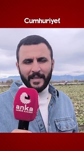 Osmaniye'de çiftçi, "para etmediği için" turp tarlasını sürdüğünü söyledi Osmaniye'nin Kadirli ilçesinde çiftçi Ersin Aksancar satamadığı için 100 dönümlük turp tarlasını sürdüğünü bildirerek, "Zaten 4-5 bin lira masraf ettik dönümüne, şu an dönümüne bin-bin 500 lira para veriyorlar" dedi. | Cumhuriyet Yaşam