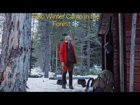 Solo Winter Night in the Forest Sleeping in a Shelter North Sweden