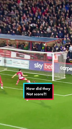 Soccer Match Highlights: Tactics and Team Spirit