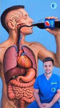 Drink Cold Pepsi… Watch What Happens Inside Your Body #Pepsi#SoftDrinks#SugarRush#HealthScience#Huma