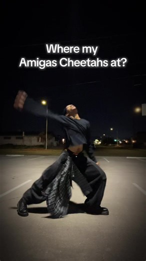 Best Cheetah Girls Dance Choreography Ever