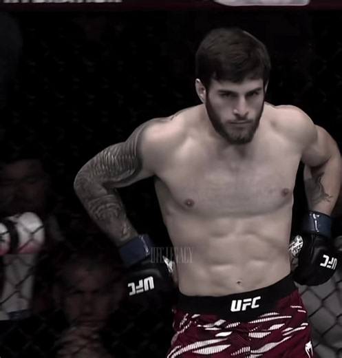 Best boxer?#ufc #fyp #aleksandretopuria #fyppppppppppppppppppppppp #viral