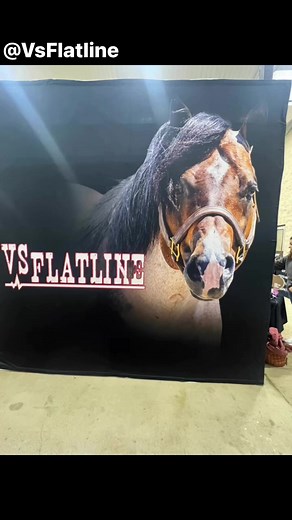 102 reactions · 5 comments | VS Flatline Highpoint Performance...