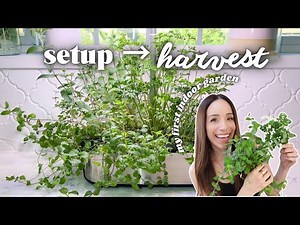 indoor herb garden setup🌿peppermint, rosemary & parsley | LetPot Hydroponic System Review