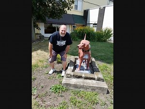 Close Competition In Cutest Dog Contest