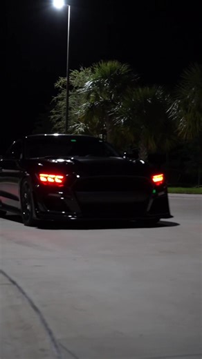 Replying to @alexpirv_ 😂 this one was good #devinsynced02 #lifestyle #fyp #wife #egirl s550mustang