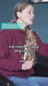 #reactivedog #reactivedogtraining #dogtraining | Method K9