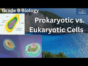 Types of Cells: Prokaryotic vs. Eukaryotic (Grade 9 Biology)