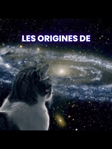 Les origines de OUPI GOUPI - Partie 1 : Une histoire touchante