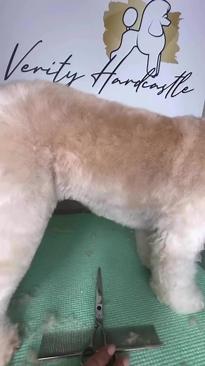 24K views · 347 reactions | Do you scissor over? On some coats where...